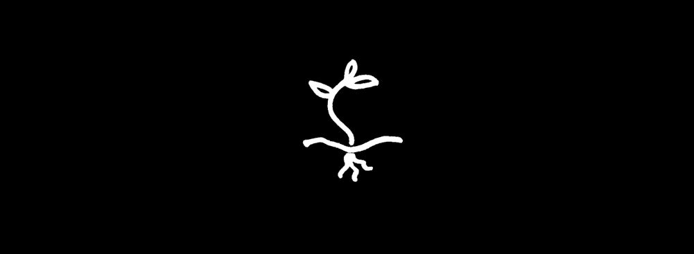 Drawing of a seed